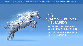 salon-du-cheval-eljadida-11-eme-edition-maroc