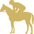 Equestre cheval EL Jadida