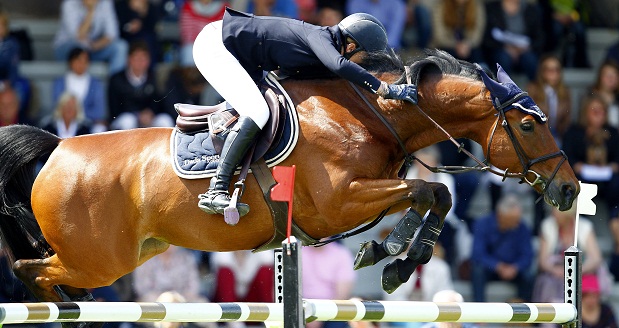 eljadida sports equestres maroc